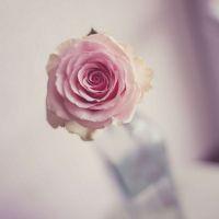 后场中英文商业Club实用 - Major Lazer Pon - De Floor